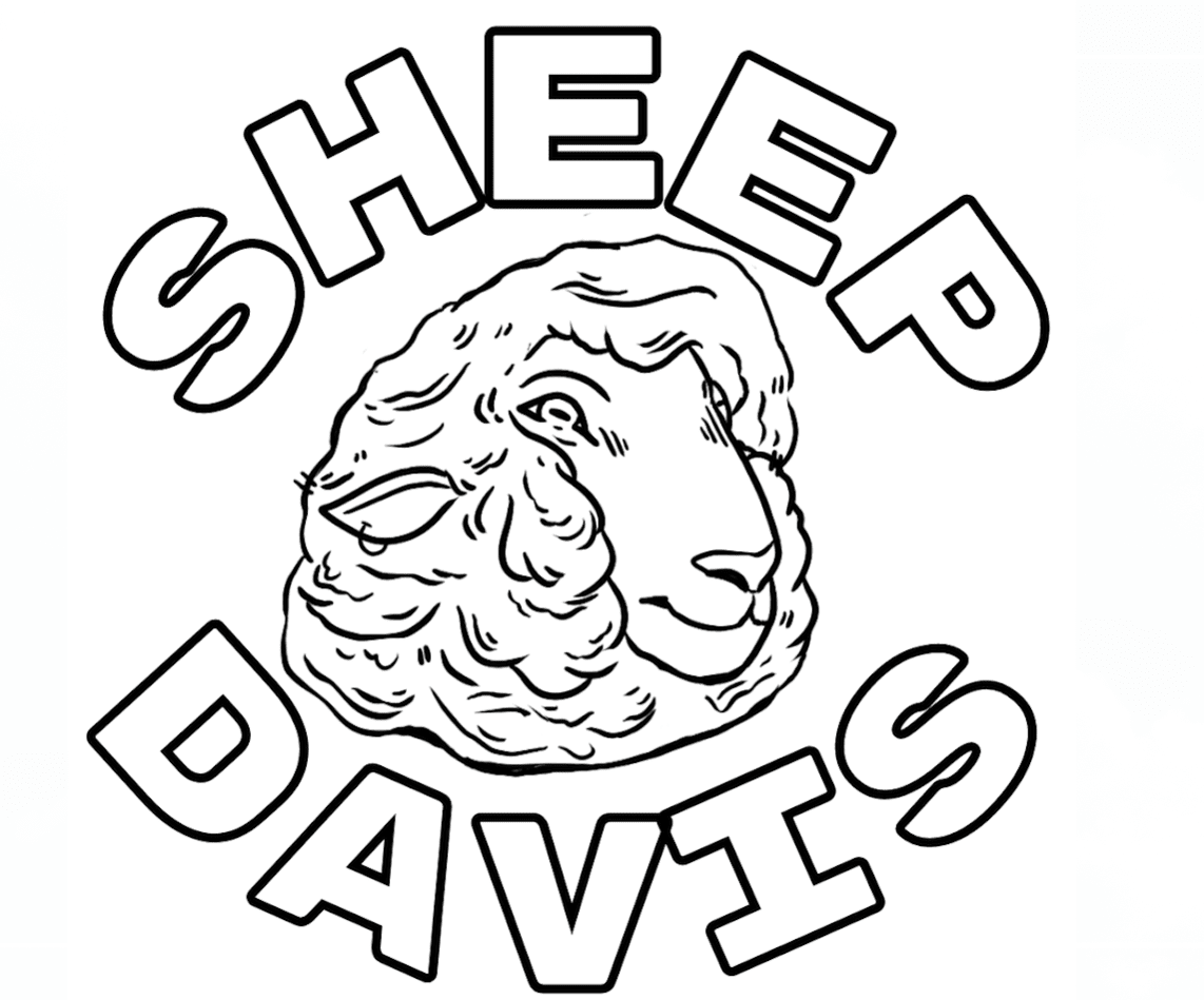 Sheep Davis a duo creating the music